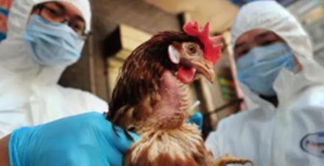 娛樂城：上任1個月，特朗普裁撤20萬聯邦雇員，法官裁定：可以繼續！共和黨議員：三思而後行啊